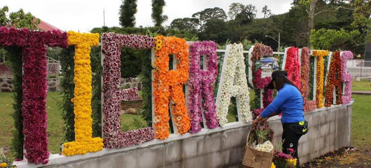 Millones de flores de las tierras altas de Panamá celebran su fiesta anual