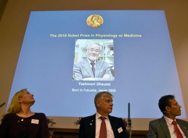 El Nobel de Medicina reconoce descubrimiento de los mecanismos de la autofagia