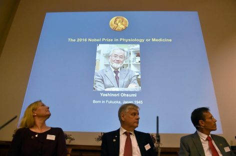 El Nobel de Medicina reconoce descubrimiento de los mecanismos de la autofagia