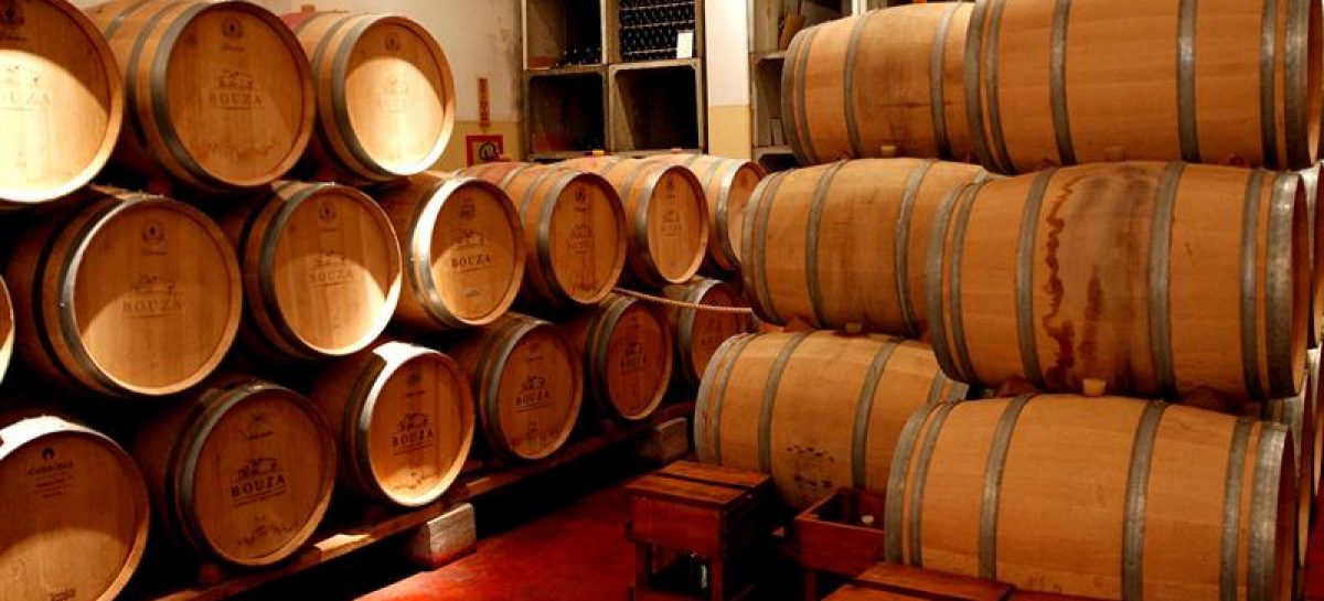 Producción de vino se desploma en América del Sur