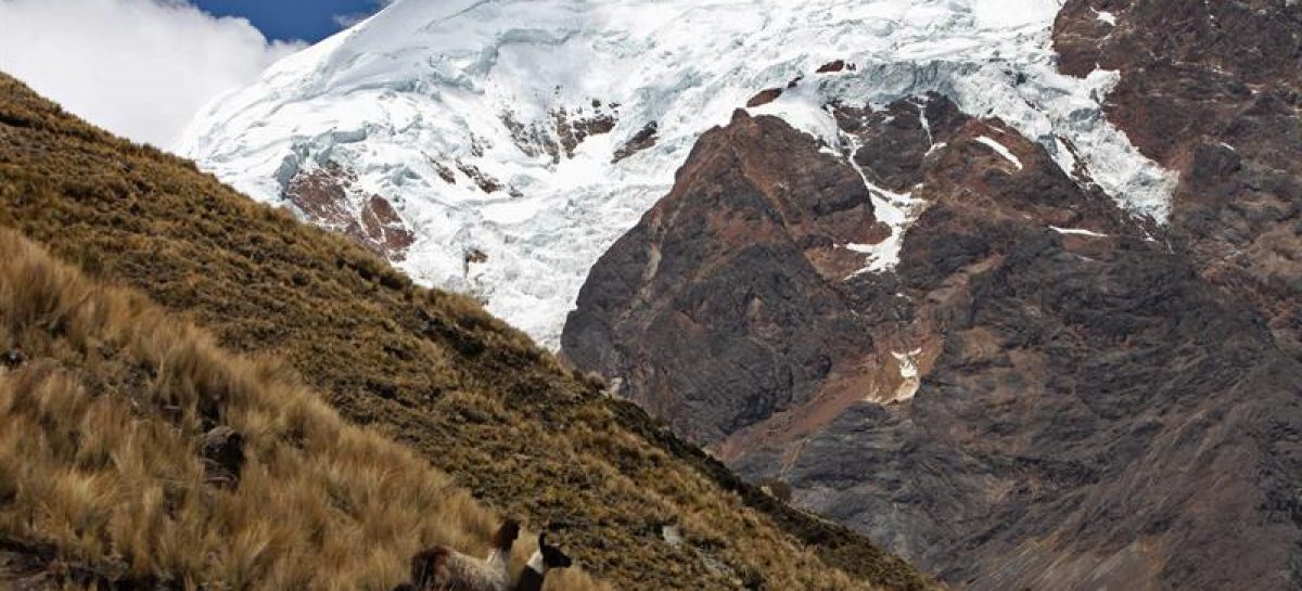 Estudio europeo alerta disminución dramática de glaciares en Bolivia