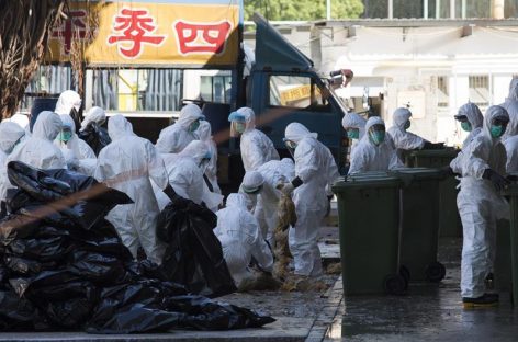 China registró sus dos primeras muertes por gripe aviar del invierno
