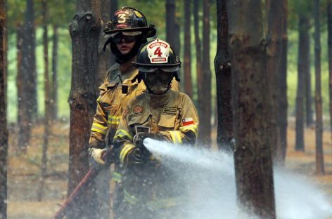 Confirmaron disminución de incendios forestales en Chile