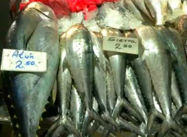 Consumidores se quejan de los precios pescados y mariscos para la Semana Mayor
