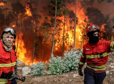 Incendio voraz en Portugal ya cuenta con 62 muertos