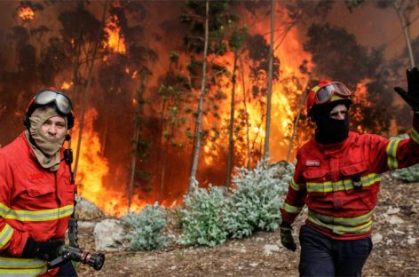 Incendio voraz en Portugal ya cuenta con 62 muertos
