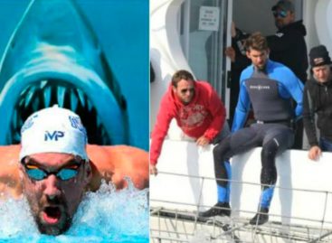 Michael Phelps causó furor en las redes tras nadar con un tiburón blanco