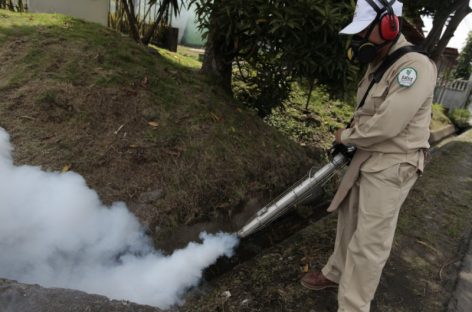 Aumentan casos pero disminuyen muertes por dengue durante 2017