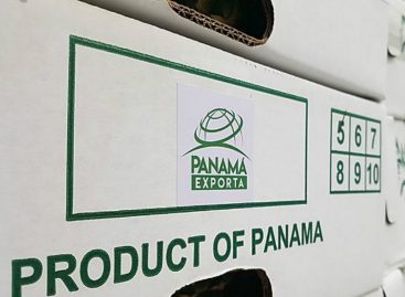 Panamá inicia exportación de piña a Dubai