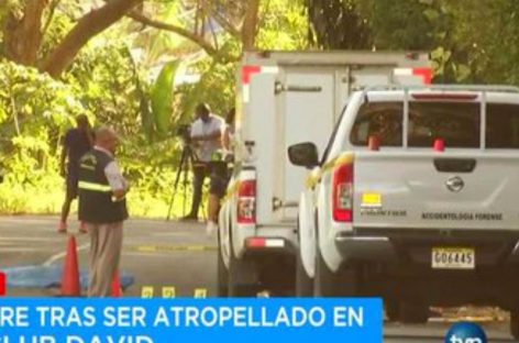 Una mujer de 41 años es la víctima nueve por arrollamiento en Chiriquí