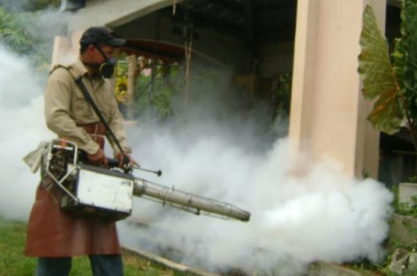 Reportan dos muertes por dengue en Colón