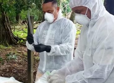 Primer caso de niño afectado por el virus Hanta en Los Santos