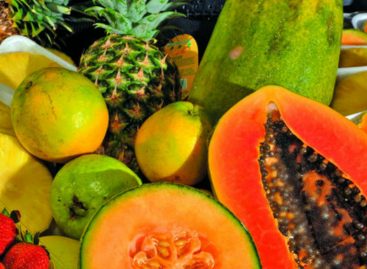 Decomisan presunto contrabanado de frutas en Guabalá