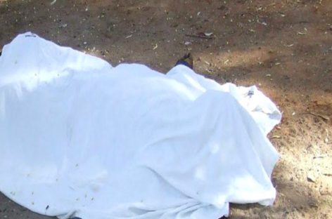 Fatalidad en Barú: Dos murieron aplastados por un árbol