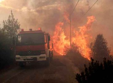 Una persona murió tras combatir incendio forestal en California