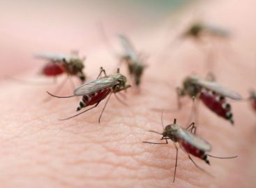 Panamá pronto erradicará la malaria