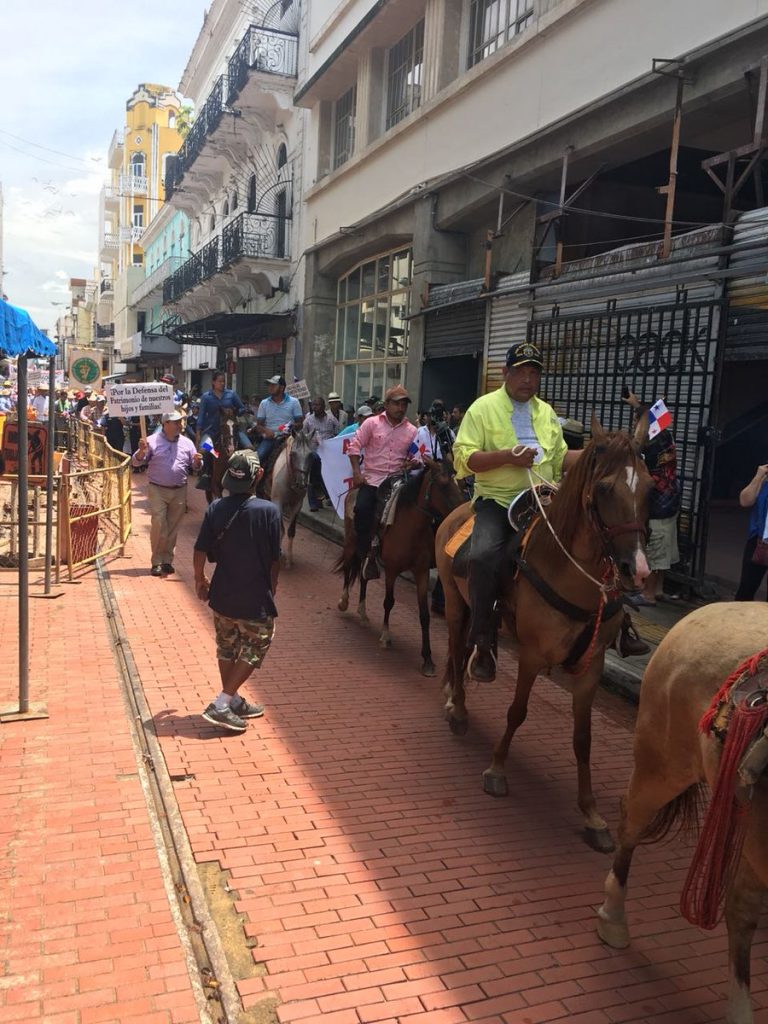 productores panameños