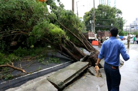 Tres colapsos de estructuras y 46 árboles caídos tras fuerte temporal de este lunes en Panamá