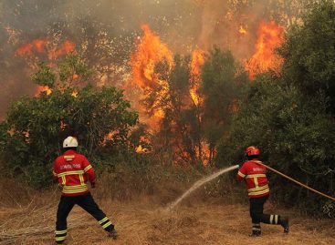 Incendio del Algarve sigue activo, aunque está más estable que el martes