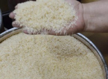 Por tercer año consecutivo Panamá importará arroz desde Guyana
