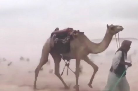 Fin de mundo: El desierto de Arabia Saudita convertido en un mar por inusuales lluvias (+Videos)
