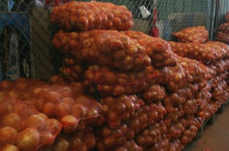 Escasez de cebolla se extenderá hasta mediados de agosto