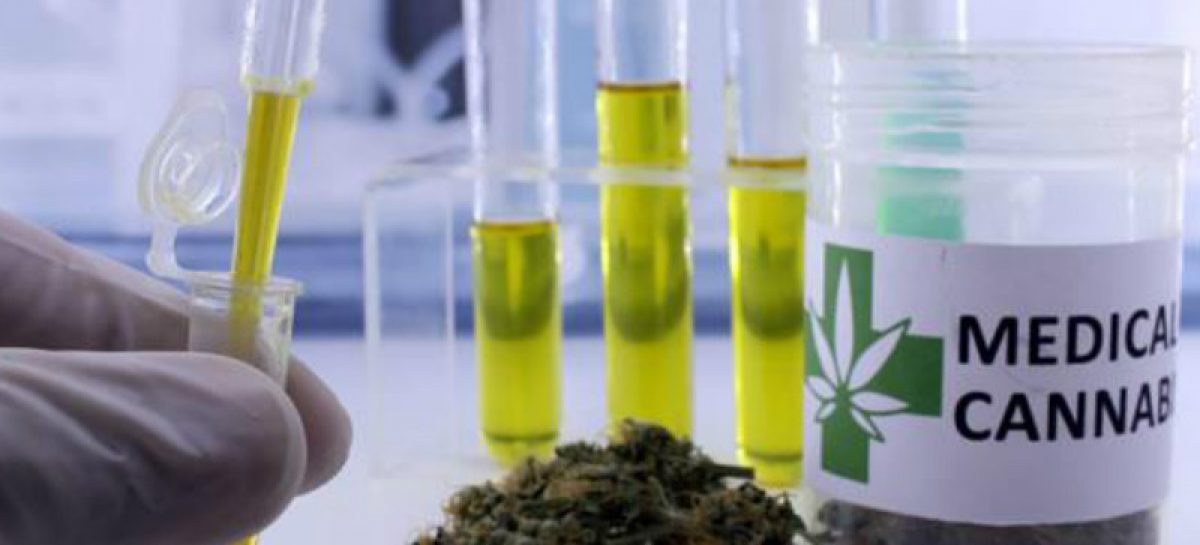 Esperan que Panamá se convierta en centro logístico si se legaliza el cannabis medicinal