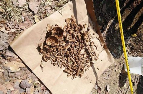 Investigan hallazgo de restos óseos en Los Santos