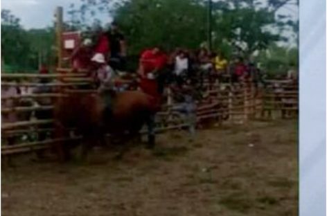 Murió un señor de 50 años tras violenta caída de un toro en Chiriquí