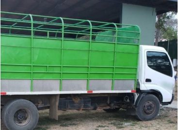 Detuvieron a seis migrantes cubanos y uno ecuatoriano que viajaban ocultos en un camión                                                    fg