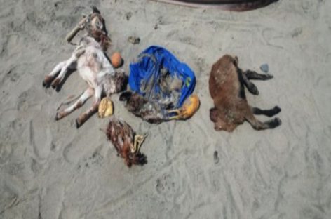 Dantesco hallazgo: Encuentran señales de ritual satánico en playa de Mariato