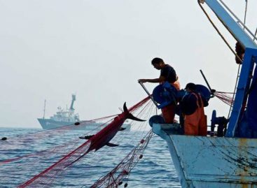 Capturan 21 pescadores ilegales ecuatorianos en el Pacífico colombiano