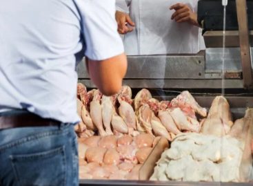 Panamá prestará más atención al pollo importado
