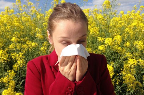 ¿Sufres de alergia? ¿Sabías que te pueden causar problemas mentales?