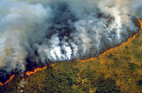 #PrayforAmazonas La tendencia que es un grito de alerta por los incendios forestales en el pulmón del planeta (+Videos)