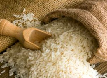 MIDA aclara que no habrá importación de arroz