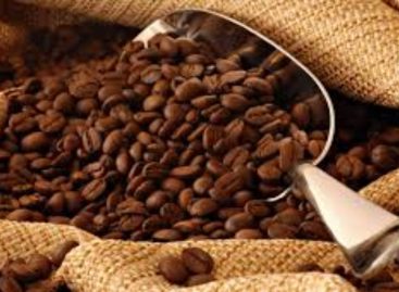 Advierten sobre crisis en producción del café