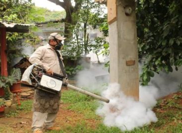 Casos de dengue en Panamá aumentaron a 1.689: Al menos 7 son graves