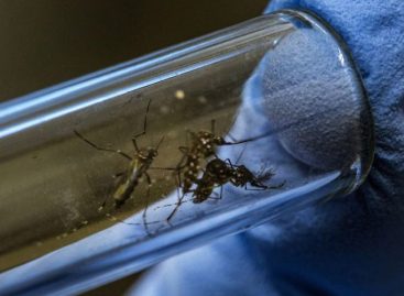 Confirman 656 casos de dengue en Panamá