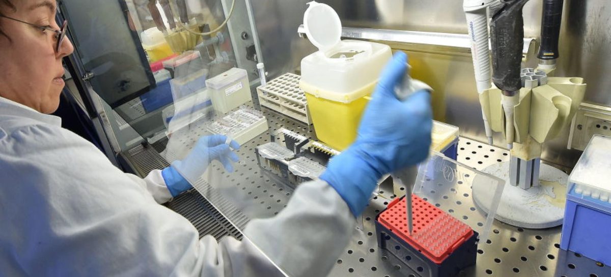 Instituto Conmemorativo Gorgas realiza estudios con células madre como tratamiento contra el coronavirus