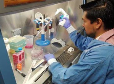 Panamá investiga uso de células madres de la placenta contra el coronavirus