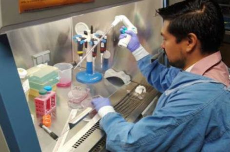 Panamá investiga uso de células madres de la placenta contra el coronavirus